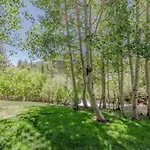 Snowcreek IV 550
